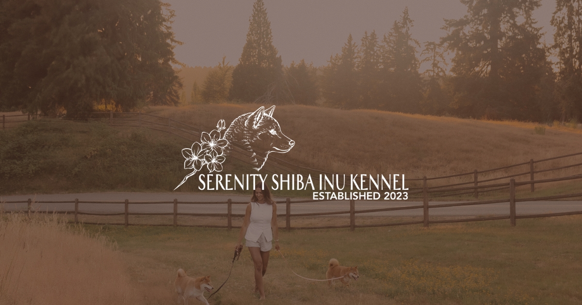 Serenity Shibas – AKC Shiba Inu Breeder & OFA Health Tested